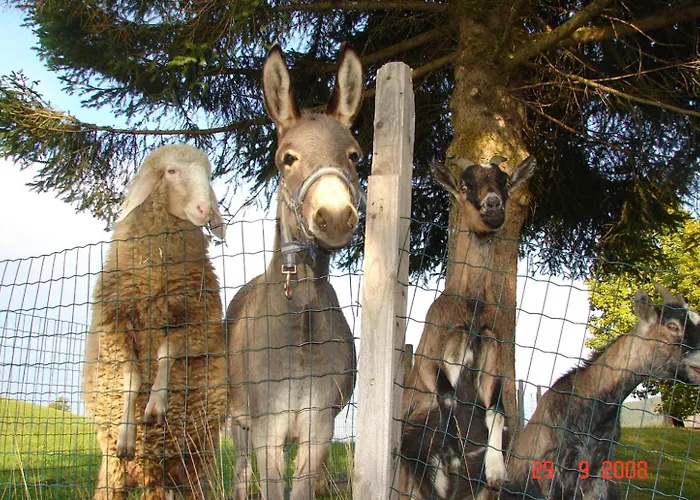 1 Appartement Auberg